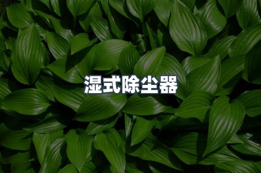 湿式除尘器