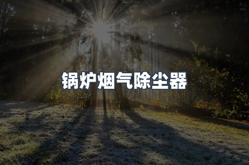 锅炉烟气除尘器
